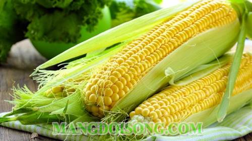 Cách làm xôi bắp tươi thơm ngon cho bữa sáng của bạn 1