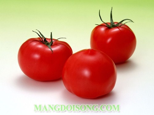 CÁCH NẤU CANH CÀ CHUA TRỨNG NGON BỔ DƯỠNG CHO NÃO 1