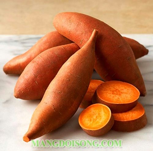 CÁCH NẤU CANH KHOAI NGỌT MÁT CHO NGƯỜI ĂN LẠT 1