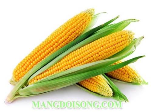 Cách nấu chè bắp non thơm ngon bổ dưỡng cho làn da tươi sáng 1