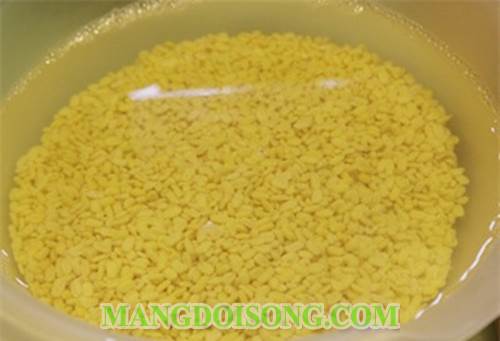 CÁCH NẤU CHÈ BÍ NGÔ CỐT DỪA LẠ MẮT NGON MIỆNG 2