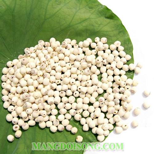 Cách nấu chè sen hoa bưởi thơm ngon ngất ngây đẹp da dáng chuẩn 1