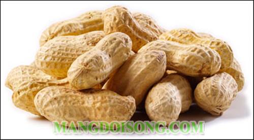 Cách nấu xôi đậu phộng dẻo ngon bảo quản được lâu 1