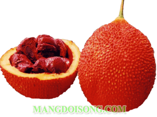 Cách nấu xôi gấc đỏ tươi tự nhiên đẹp mắt ngon tuyệt 1