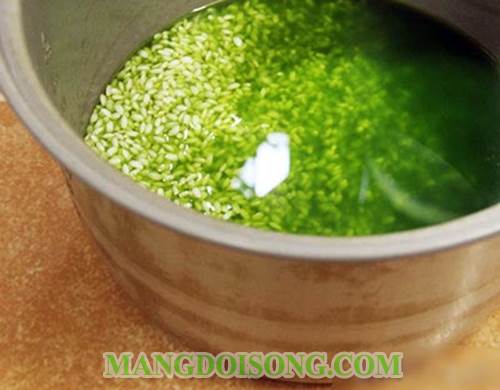 Cách nấu xôi lá dứa xanh tươi thơm ngọt rất hấp dẫn 2