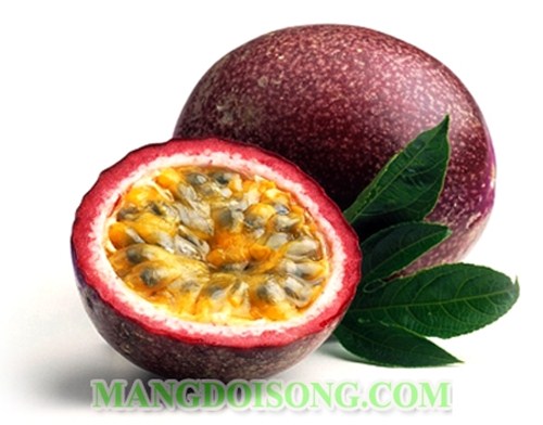 CÁCH PHA CHẾ NƯỚC CAM CHANH DÂY BẠC HÀ THƠM MÁT TẠI NHÀ 1