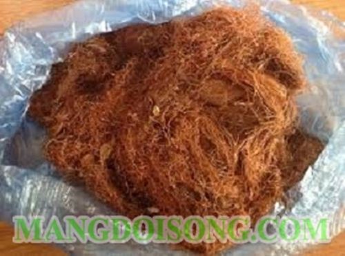 CÁCH PHA CHẾ TRÀ THANH NHIỆT GIẢI ĐỘC GAN TRONG DỊP TẾT BẰNG NHỮNG VỊ THUỐC DỄ TÌM 1