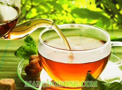 CÁCH PHA CHẾ TRÀ THANH NHIỆT GIẢI ĐỘC GAN TRONG DỊP TẾT BẰNG NHỮNG VỊ THUỐC DỄ TÌM 4