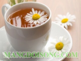 CÁCH PHA TRÀ HOA CÚC MẬT ONG THƠM NGON ẤM ÁP CHO MÙA ĐÔNG