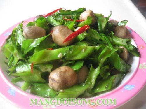 CÁCH XÀO ĐẬU RỒNG VỚI NẤM RƠM NGON CHO BỮA CƠM GIA ĐÌNH THÊM ĐẦM ẤM 4