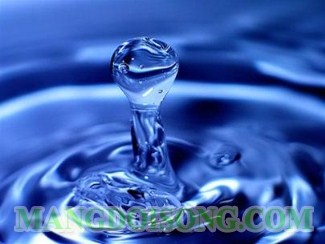 Sự quan trọng của nước đối với sự sống sức khỏe của chúng ta
