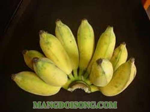 CHIỀU MƯA HỌC CÁCH LÀM BÁNH CHUỐI CHIÊN NGON THƠM PHỨC 1