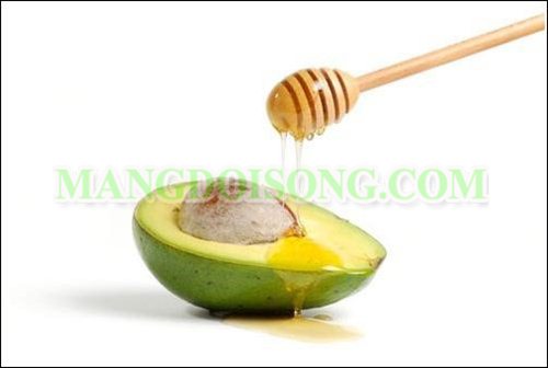 LÀM ĐẸP DA BẰNG MẬT ONG 2