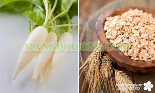 ĐẸP DA VỚI CỦ CẢI TRẮNG 1