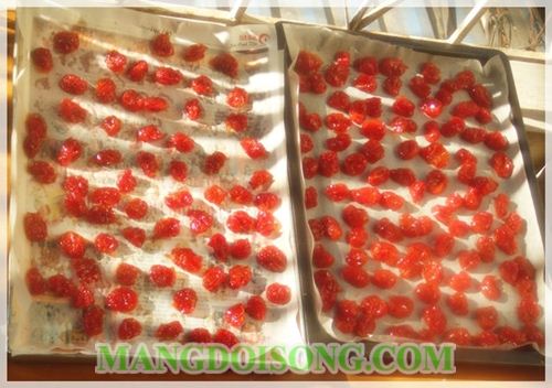 HƯỚNG DẪN CÁCH LÀM MỨT CÀ CHUA NGON ĐẸP TẠI NHÀ CHO NGÀY TẾT 5