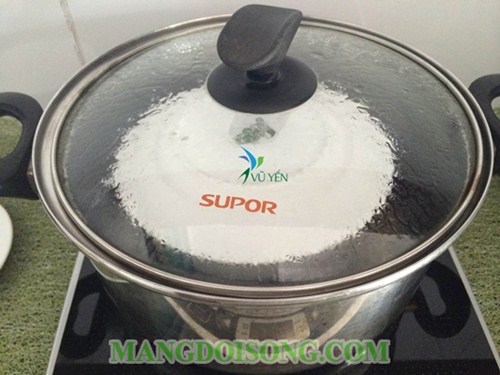 HƯỚNG DẪN CHƯNG TỔ YẾN HẠT SEN CHO NGƯỜI MỚI ỐM DẬY 3