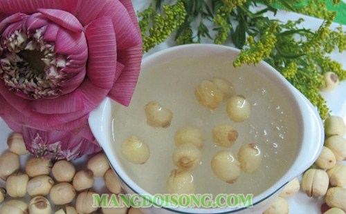 HƯỚNG DẪN CHƯNG TỔ YẾN HẠT SEN CHO NGƯỜI MỚI ỐM DẬY 4