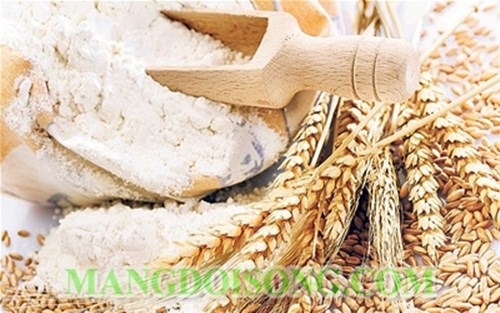 HƯỚNG DẪN LÀM BÁNH CHOUX ( BÁNH SU) NHÂN SỮA TẠI NHÀ ĐƠN GIẢN MÀ NGON NHƯ HIỆU BÁNH 1