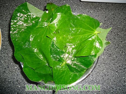 HƯỚNG DẪN LÀM BÒ CUỐN LÁ LỐT TIÊU XANH THƠM NGON BỔ DƯỠNG 1