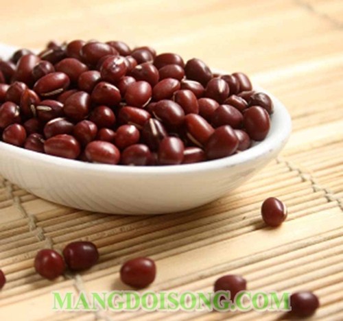 HƯỚNG DẪN LÀ CHÈ TRÔI NƯỚC NHÂN ĐẬU ĐỎ THƠM NGON BỔ DƯỠNG CHO MÙA ĐÔNG 1