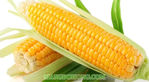 HƯỚNG DẪN MÓN BẮP CHIÊN BƠ THƠM NGON GIÒN TAN MÀ VẪN GIỮ ĐƯỢC VỊ NGỌT 1