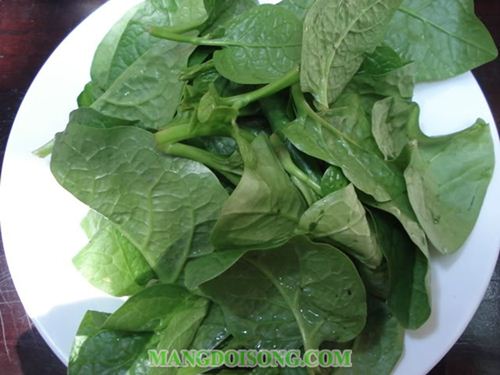 LỢI ÍCH BẤT NGỜ CHO SỨC KHỎE TỪ MỒNG TƠI 2