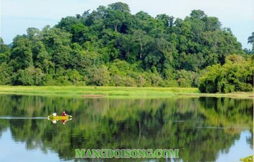 Những thói quen giúp bạn luôn có tinh thần lành mạnh tràn trề sức sống 3