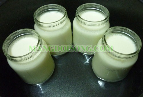 Cách làm sữa chua không cần máy tại nhà đơn giản 4