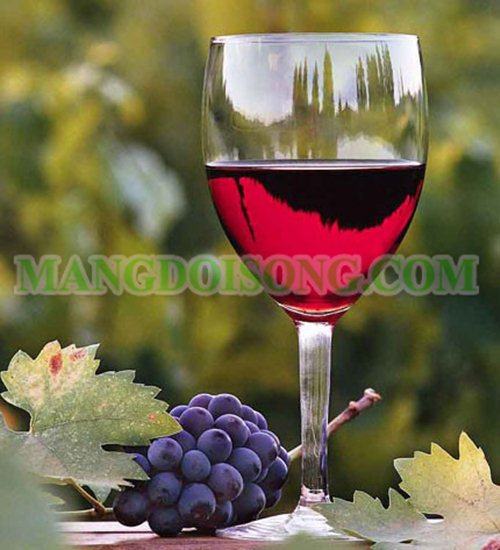 ĐÁNH TAN TÀN NHANG BẰNG RƯỢU 1