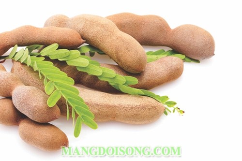 TUYỆT CHIÊU NGÂM ME CHUA NGỌT HẤP DẪN NHẤT QUẢ ĐẤT 1