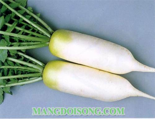 Cách làm bánh củ cải ngon cho bữa sáng thanh tịnh 1