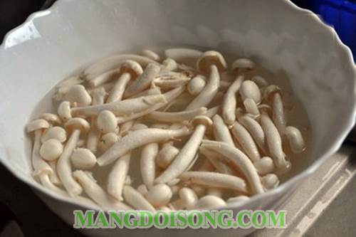 Cách làm bò cuộn nấm kim châm sốt phô mai thơm ngon bổ dưỡng dễ làm cho ngày nghĩ cuối tuần 2