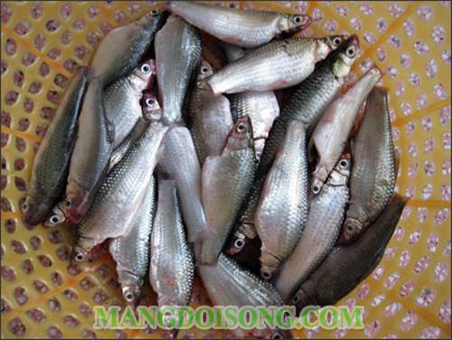Cách làm cá linh kho tộ thơm ngon cho bữa cơm gia đình đầm ấm 2