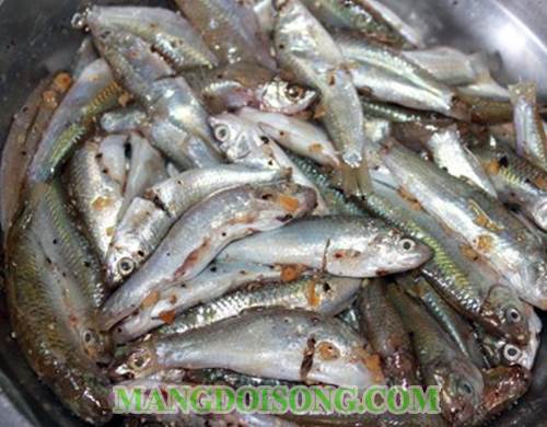 Cách làm cá linh kho tộ thơm ngon cho bữa cơm gia đình đầm ấm 3