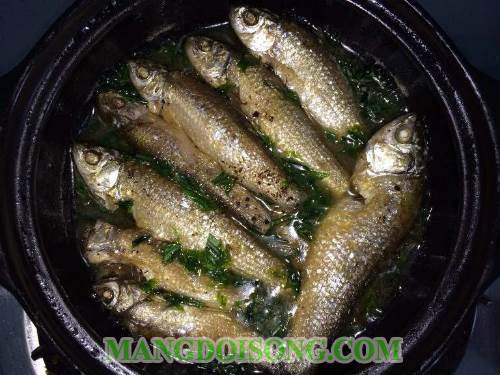 Cách làm cá linh kho tộ thơm ngon cho bữa cơm gia đình đầm ấm 4