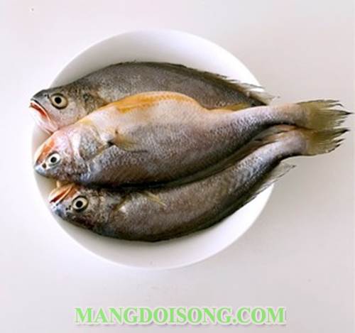 Cách làm cá sông sốt tương hạt thơm ngon đậm đà cho bữa cơm gia đình thêm ngon miệng 1