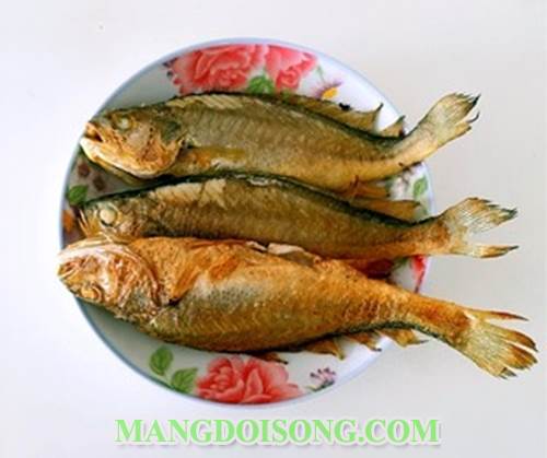 Cách làm cá sông sốt tương hạt thơm ngon đậm đà cho bữa cơm gia đình thêm ngon miệng 3