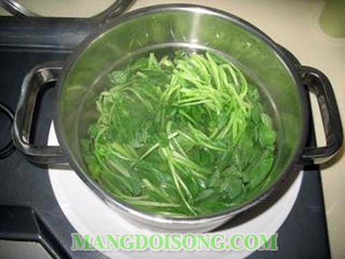 Cách làm cải mầm sốt tỏi ngon thanh đạm cho bữa cơm trưa thêm mát cung cấp nhiều vitamin và chất sơ 2