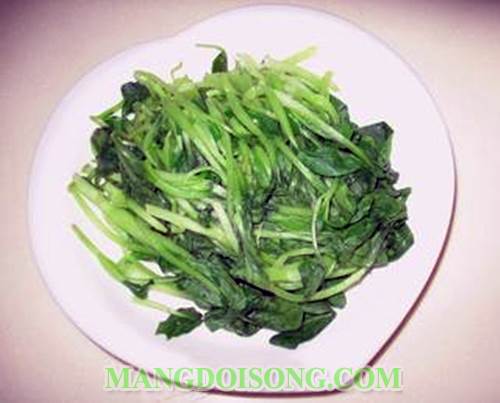 Cách làm cải mầm sốt tỏi ngon thanh đạm cho bữa cơm trưa thêm mát cung cấp nhiều vitamin và chất sơ 3