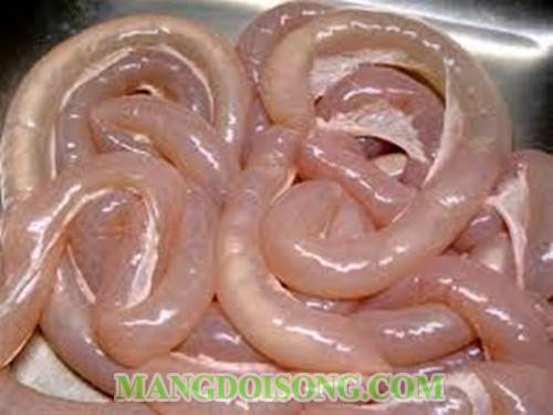 Cách làm dồi heo ngon đơn giản tại nhà cho ngày tiệc 1