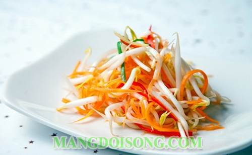Cách làm dưa giá có ăn ngay trong 30 phút ngay tại bếp gia đình bạn 4