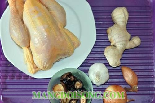 Cách làm gà hấp nấm gừng thơm ngon cho bữa cơm đoàn tụ gia đình thêm hạnh phúc 1