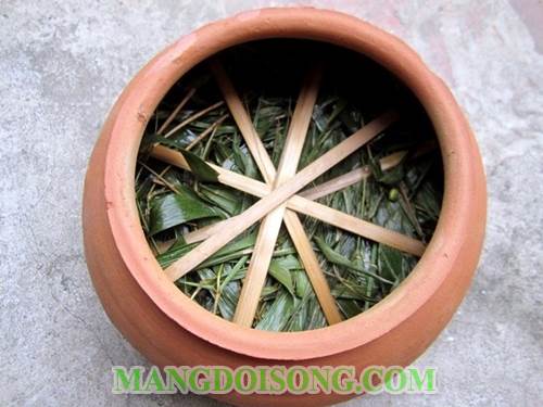 Cách làm giá đậu xanh ngon thân mập trắng ăn ngọt không hóa chất 2