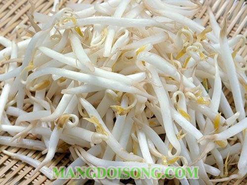 Cách làm giá đậu xanh ngon thân mập trắng ăn ngọt không hóa chất 4