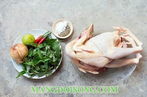 Cách làm gỏi gà rau răm chua chua cay cay nồng vị đơn giản cho ngày nghĩ cuối tuần tuần 1