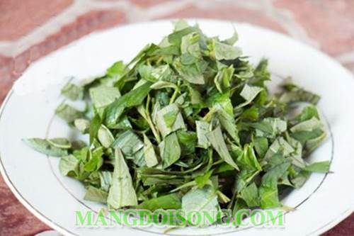 Cách làm gỏi gà rau răm chua chua cay cay nồng vị đơn giản cho ngày nghĩ cuối tuần tuần 3
