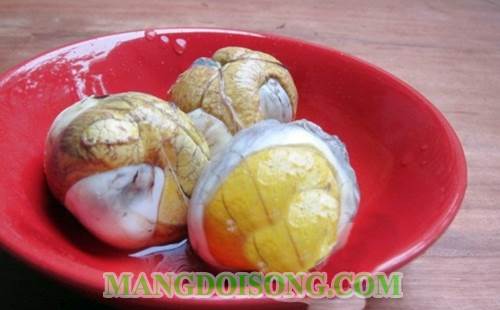 Cách làm hột vịt lộn hầm ngãi cứu tẩm bổ cho gia đình 2