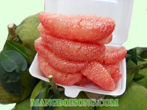 Cách làm kem bưởi ngon đẹp da dáng chuẩn cho chị em phụ nữa giải nhiệt mùa hè 1