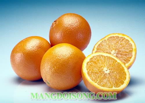Cách làm kem cam ngon mát lạnh sảng khoái bổ sung vitamin C cho cơ thể thanh lọc 1