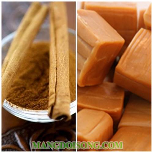 Cách làm kem caramel hạt óc chó thơm ngon bổ dưỡng cho bé yêu thông minh khỏe mạnh 1